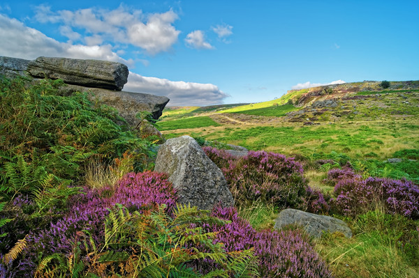 Burbage Rocks and Valley                        Picture Board by Darren Galpin