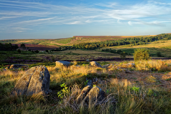 Burbage Rocks from Owler Tor                       Picture Board by Darren Galpin