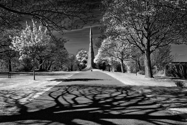 Cholera Monument, Infra Red                        Picture Board by Darren Galpin