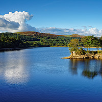 Buy canvas prints of Burrator Reflections                               by Darren Galpin