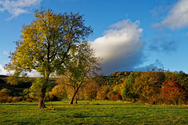 Hope Valley in Autumn                              Picture Board by Darren Galpin