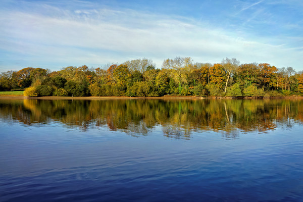 Chard Reservoir Autumn Reflections                 Picture Board by Darren Galpin