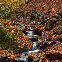 Buy canvas prints of Porter Clough in Autumn                            by Darren Galpin