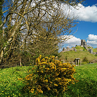 Buy canvas prints of Corfe Castle View                  by Darren Galpin