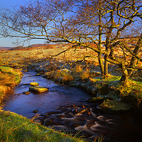 Buy canvas prints of Burbage Brook in Autumn by Darren Galpin