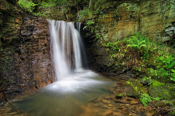 Hidden Falls near Damflask                        Picture Board by Darren Galpin