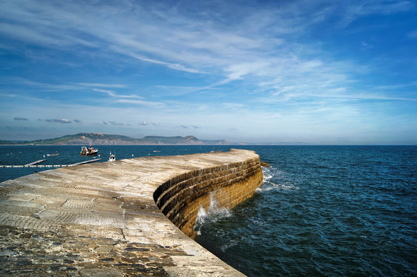 The Cobb, Lyme Regis                       Picture Board by Darren Galpin