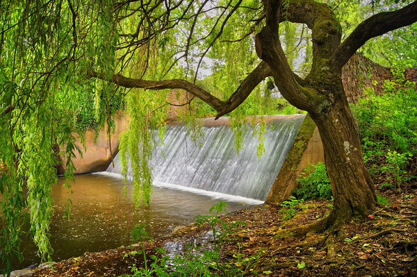 River Sid Falls                     Picture Board by Darren Galpin