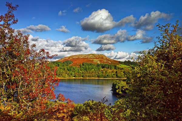 Burrator and Sheepstor In Autumn                   Picture Board by Darren Galpin