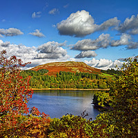 Buy canvas prints of Burrator and Sheepstor In Autumn                   by Darren Galpin