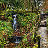 Buy canvas prints of Ninesprings Country Park, Yeovil                   by Darren Galpin