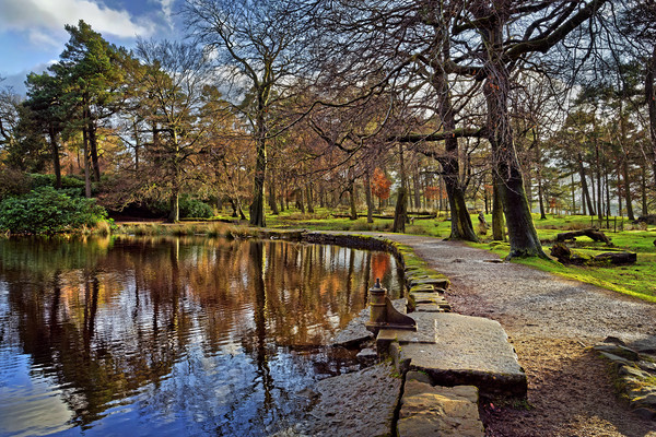 Longshaw Pond                                Picture Board by Darren Galpin