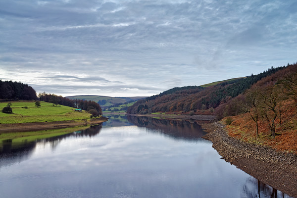   Ladybower Reflections                            Picture Board by Darren Galpin