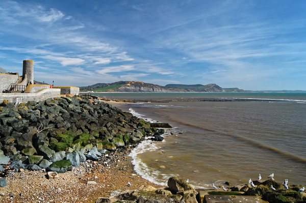 Lyme Bay                        Picture Board by Darren Galpin