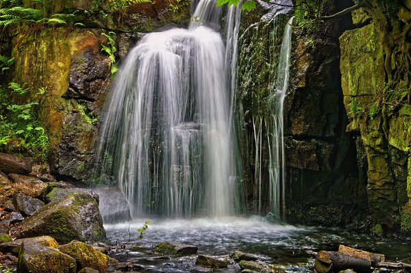 Lumsdale Falls in Summer                       Picture Board by Darren Galpin