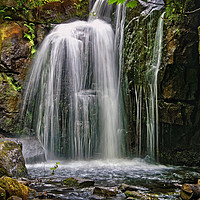 Buy canvas prints of Lumsdale Falls in Summer                       by Darren Galpin