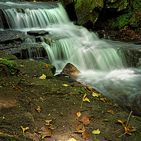 Buy canvas prints of Glowing Beauty at Lumsdale                         by Darren Galpin