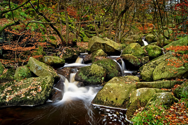 Padley Gorge in Autumn                       Picture Board by Darren Galpin