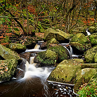 Buy canvas prints of Padley Gorge in Autumn                       by Darren Galpin