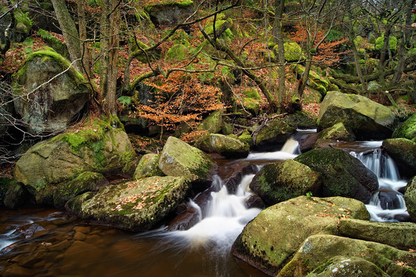 Padley Gorge                        Picture Board by Darren Galpin