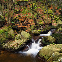 Buy canvas prints of Padley Gorge                        by Darren Galpin