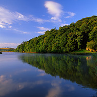 Buy canvas prints of River Tamar at Cotehele Quay by Darren Galpin
