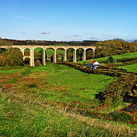 Buy canvas prints of Cannington Viaduct, Uplyme                         by Darren Galpin