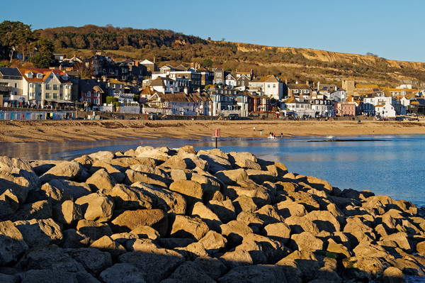 Lyme Regis from North Wall                       Picture Board by Darren Galpin