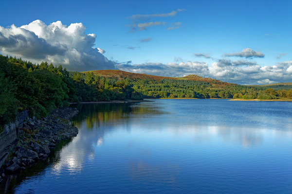 Burrator Reflections                               Picture Board by Darren Galpin