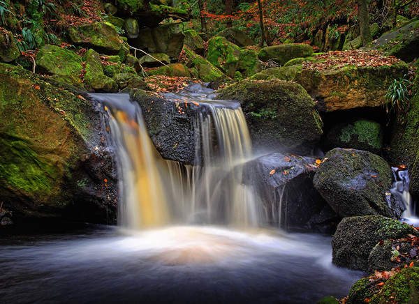 Golden Falls at Padley Gorge                       Picture Board by Darren Galpin