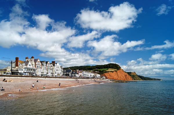 Sidmouth Seafront & Coastline                   Picture Board by Darren Galpin