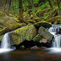 Buy canvas prints of Padley Gorge in Spring                             by Darren Galpin