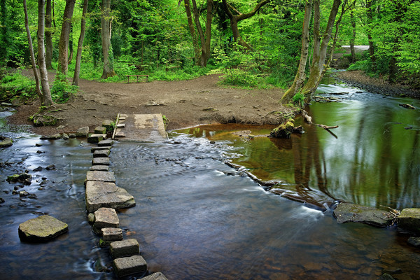 Rivelin Stepping Stones                            Picture Board by Darren Galpin