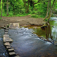 Buy canvas prints of Rivelin Stepping Stones                            by Darren Galpin