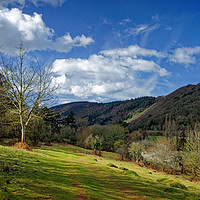 Buy canvas prints of Exmoor Countryside at Dunster                      by Darren Galpin