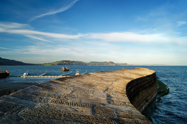 The Cobb, Lyme Regis                     Picture Board by Darren Galpin