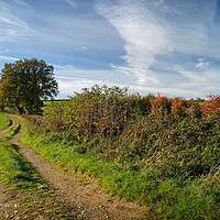 Buy canvas prints of Footpath to Bounds Lane                       by Darren Galpin