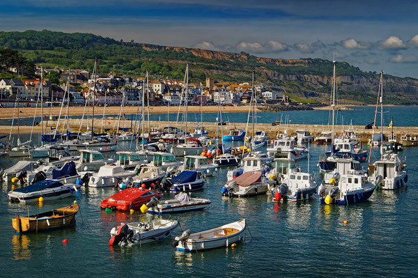 Lyme Regis Harbour & Seafront                    Picture Board by Darren Galpin