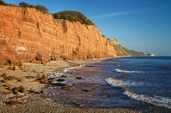 Salcombe Hill & Sidmouth Coastline                 Picture Board by Darren Galpin