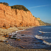 Buy canvas prints of Salcombe Hill & Sidmouth Coastline                 by Darren Galpin