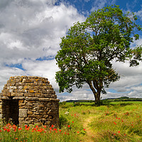 Buy canvas prints of Stone Hut & Tree, Baslow, Derbyshire               by Darren Galpin