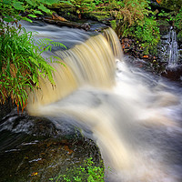 Buy canvas prints of Third Coppice Weir, Rivelin                        by Darren Galpin