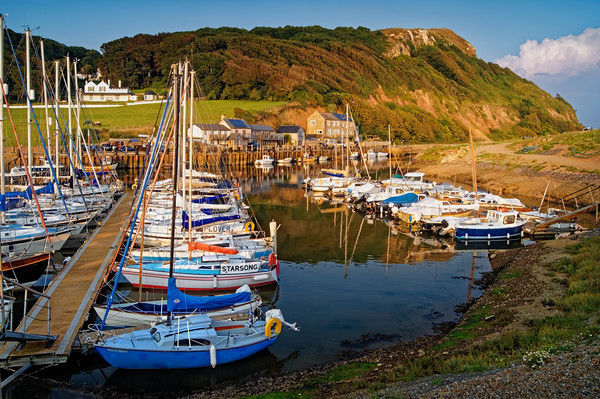Axmouth Harbour & Haven Cliff                      Picture Board by Darren Galpin