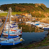 Buy canvas prints of Axmouth Harbour & Haven Cliff                      by Darren Galpin