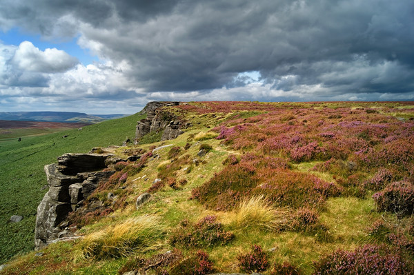 Stanage Edge                     Picture Board by Darren Galpin