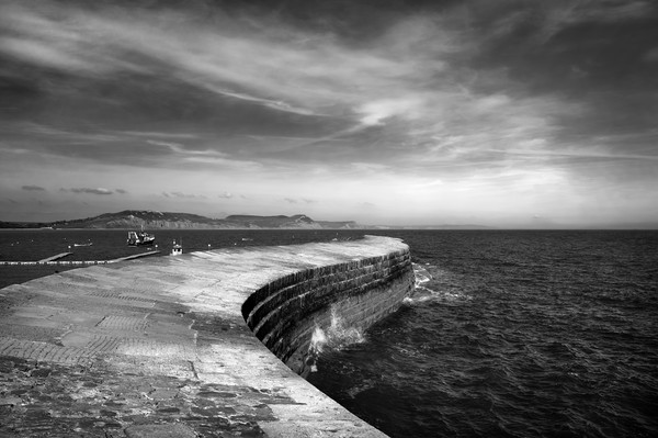 The Cobb, Lyme Regis                         Picture Board by Darren Galpin