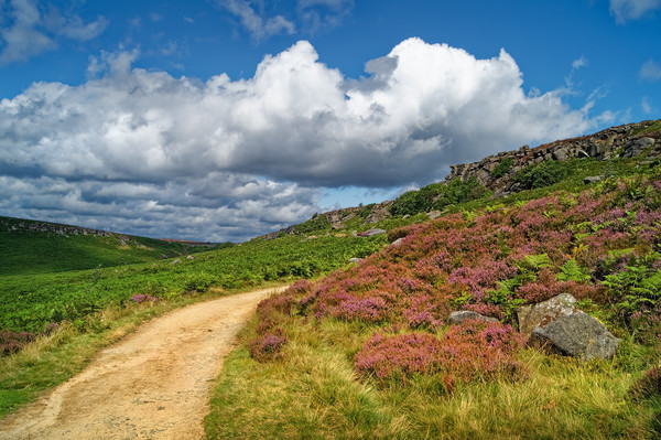 Burbage Valley                        Picture Board by Darren Galpin