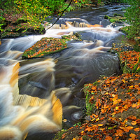 Buy canvas prints of  Rivelin Waterfalls in Autumn                      by Darren Galpin