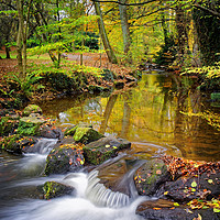 Buy canvas prints of Porter Brook Falls in Endcliffe Park               by Darren Galpin