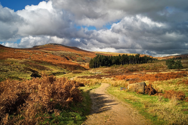Footpath to Higger Tor                        Picture Board by Darren Galpin
